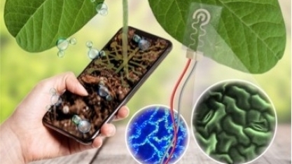 Sensor vestível permite monitorar em tempo real a saúde de lavouras de soja e cana-de-açúcar