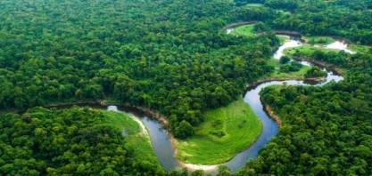 Raízen firma parceria com a SOS Mata Atlântica