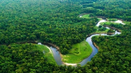 Raízen firma parceria com a SOS Mata Atlântica