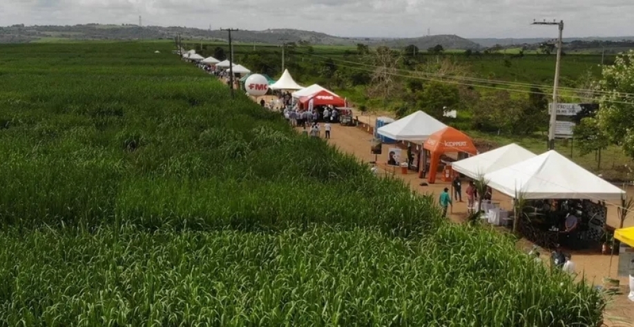 14ª Edição da Megacana Tech Show Brasil em Carpina, na Usina Petribu - Foto: Alexandre Aroeira/Folha de Pernambuco