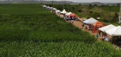 Megacana movimenta setor sucroenergético de Pernambuco