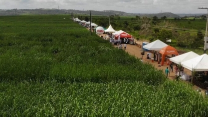 Megacana movimenta setor sucroenergético de Pernambuco