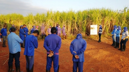 CRV Industrial realiza ação de plantão de dúvidas com os colaboradores