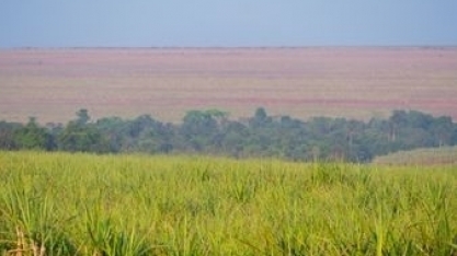 Atvos colabora com a Rede Brasil do Pacto Global da ONU para construção do Guia de Boas Práticas de Anticorrupção da Agroindústria