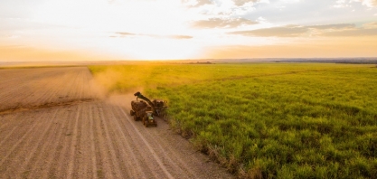 BP Bunge Bioenergia desenvolve ações para amenizar impactos climáticos