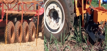 Inseticida junto à vinhaça X corte de soqueira. Qual operação é mais eficiente?