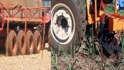 Inseticida junto à vinhaça X corte de soqueira. Qual operação é mais eficiente?