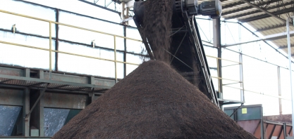 Fertilizante fabricado com lodo de esgoto pode revolucionar o cultivo de banana