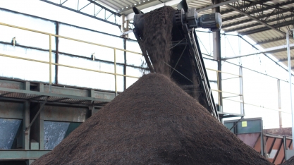 Fertilizante fabricado com lodo de esgoto pode revolucionar o cultivo de banana