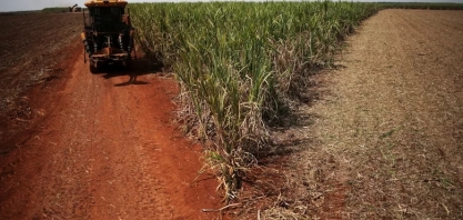 Brasil produz hidrogênio verde a partir da cana-de-açúcar em feito inédito