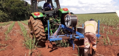 Após inverno cruel, Usina Alta Mogiana aposta na irrigação por gotejamento para minimizar efeitos negativos das intempéries