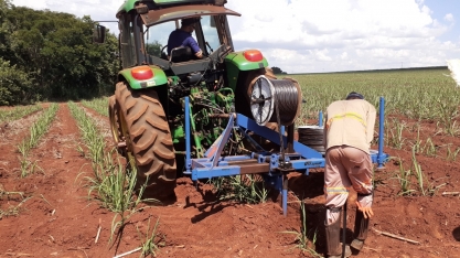 Após inverno cruel, Usina Alta Mogiana aposta na irrigação por gotejamento para minimizar efeitos negativos das intempéries