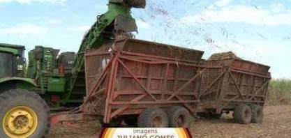 ES deve produzir mais de 3 milhões de toneladas de cana em 2022