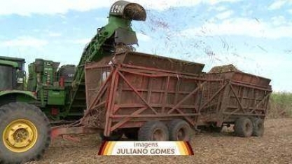 ES deve produzir mais de 3 milhões de toneladas de cana em 2022