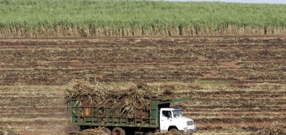 StoneX vê superávit global de 4,1 mi t de açúcar em 2022/23, o maior em cinco anos