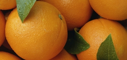 Iniciativa para aproximar startups e investidores será lançada durante Semana de Citricultura