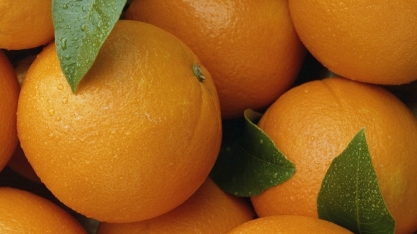 Iniciativa para aproximar startups e investidores será lançada durante Semana de Citricultura