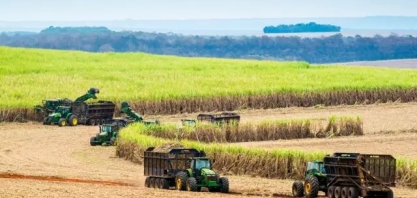MS deve lucrar R$ 76,3 bilhões com a agropecuária em 2022
