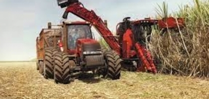 Case IH lança AUSTOFT 9000, nova linha de colhedoras de cana