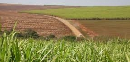 Crédito Rural: BNDES dobra oferta de programa voltado a RenovaBio, para r$ 2 bilhões