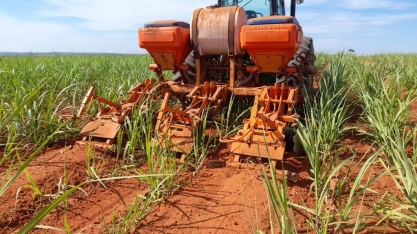 Entre 60 e 70 dias após o plantio da cana, o indicado é realizar a operação quebra-lombo