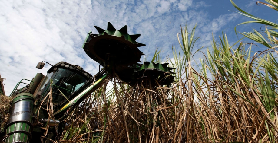 “Isso está acontecendo por causa da mudança no mix de produção e também por causa do atraso na safra”, disse o trader (Imagem: REUTERS/Nacho Doce)