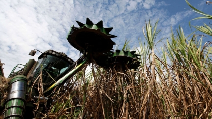 Usinas brasileiras cancelam contratos de exportação de açúcar e transferem produção para etanol
