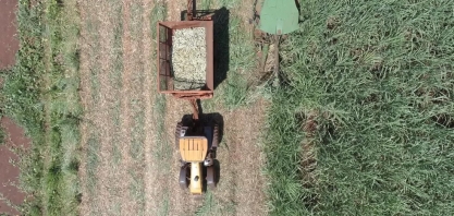 Safra da cana começa mais lenta no Centro-Sul, com produção de etanol hidratado em baixa de 21,5%