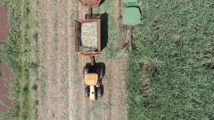 Safra da cana começa mais lenta no Centro-Sul, com produção de etanol hidratado em baixa de 21,5%