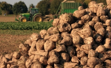 Maior produtor de açúcar ucraniano conclui semeadura de açúcar em 2022