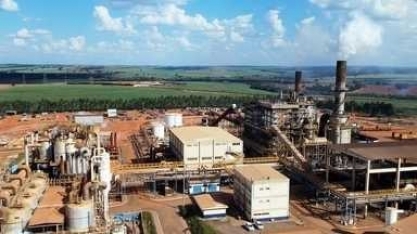 Setor sucroalcooleiro está mais otimista com safra de cana este ano