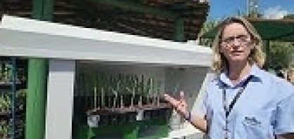 IAC apresenta mini sala de brotação de MPB que utiliza energia gerada por placa solar