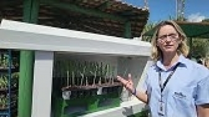 IAC apresenta mini sala de brotação de MPB que utiliza energia gerada por placa solar