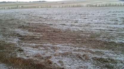 Previsão é que as geadas chegarão mais cedo em 2022