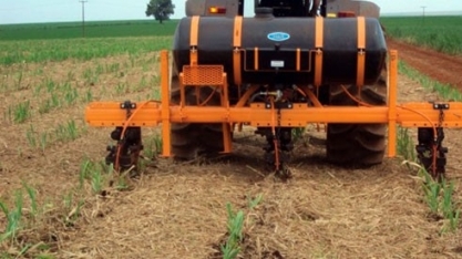 O corte de soqueira aumenta a eficiência dos inseticidas no controle de Sphenophorus levis