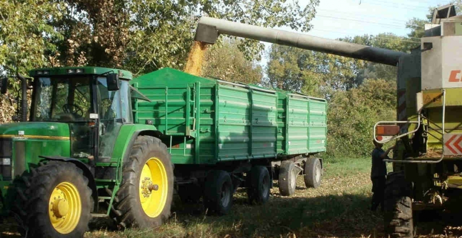 A Ucrânia é um dos principais exportadores agrícolas da Europa e a guerra no país interrompeu o abastecimento e levou a Alemanha a agir mais rapidamente para reduzir o uso de grãos e óleos vegetais em biocombustíveis (Imagem: Pixabay/WikimediaImages)