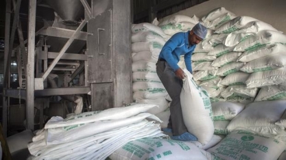 Mesmo com avanço de exportações indianas, oferta de açúcar seguirá insuficiente