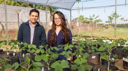 Trabalhos desenvolvidos na Esalq são premiados no IX Congresso Brasileiro de Soja