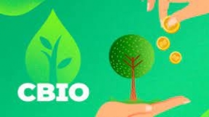 Preço dos CBios sobem e fecham semana valendo R$ 101