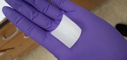 Material biodegradável potencializa aplicação de fertilizantes em mudas