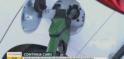 Safra da cana-de-açúcar não diminui valor do etanol nas bombas