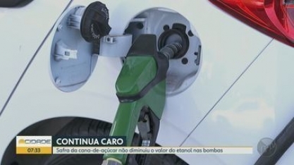 Safra da cana-de-açúcar não diminui valor do etanol nas bombas