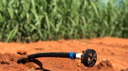 As vantagens da irrigação de vinhaça por gotejo