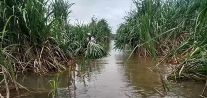 Chuvas de monção devem atingir a Índia mais cedo do que o habitual, diz governo