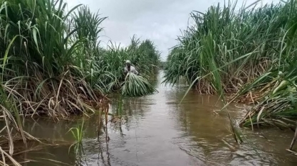 Chuvas de monção devem atingir a Índia mais cedo do que o habitual, diz governo