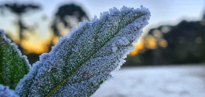 La Niña deve permanecer até o próximo verão no Brasil e aumenta chances de geadas