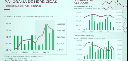 Canaviais no mato e preço dos herbicidas nas alturas