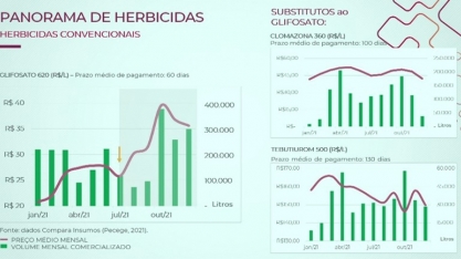 Canaviais no mato e preço dos herbicidas nas alturas