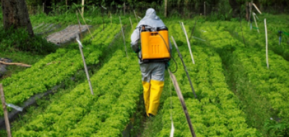 Sindiveg lança treinamento on-line sobre conceitos aplicados a Limite Máximo de Resíduos (LMR)
