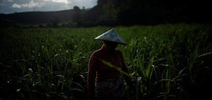 China deve produzir 10 mi t de açúcar em 22/23, diz USDA; aumento de 400 mil t